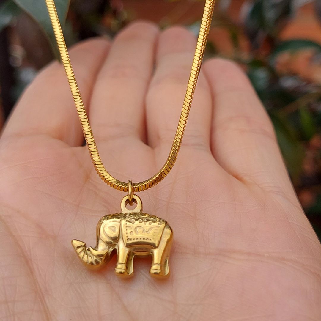 Cadena doble abundancia dorada