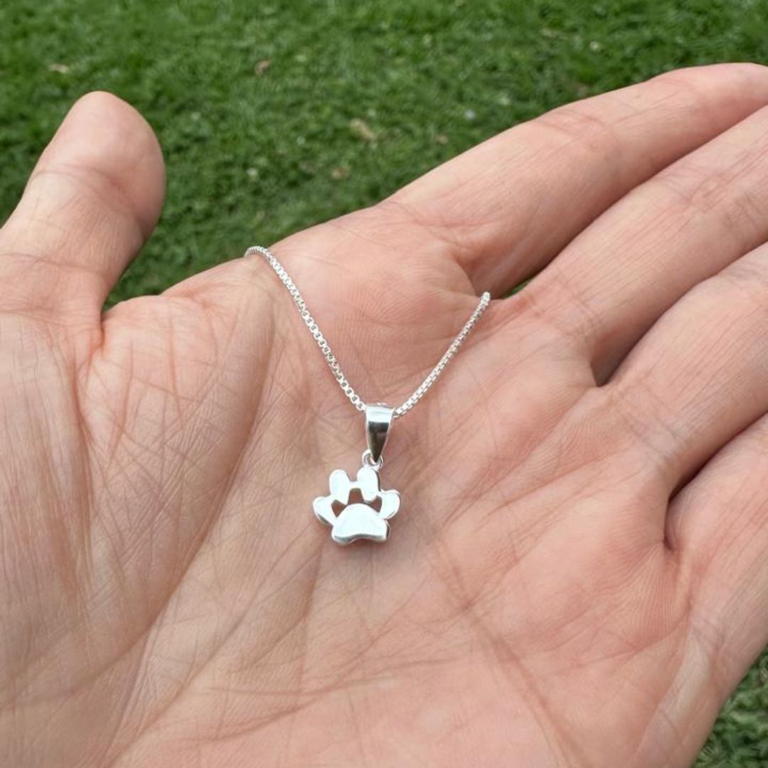 Cadena con dije huella mascota Lisa