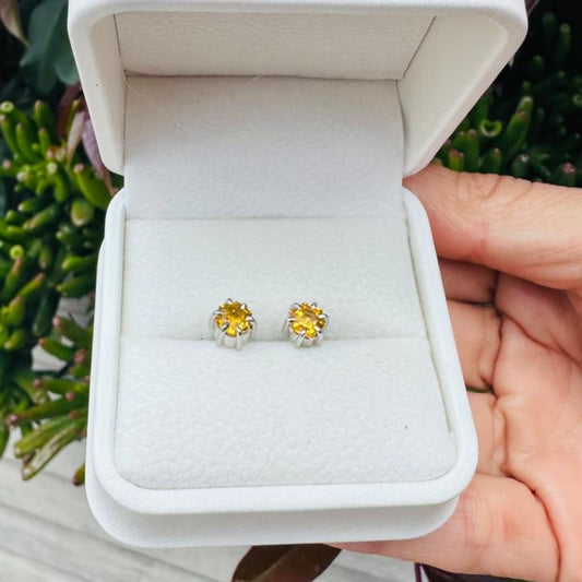 Aretes Hexagonales 6 garras con Citrino en plata rodinada