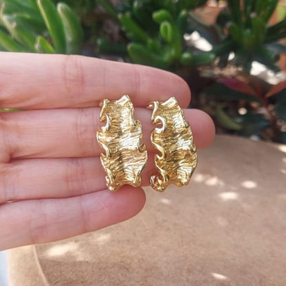 Aretes Pliegues