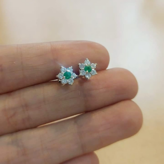 Topos Marquesa Esmeraldas